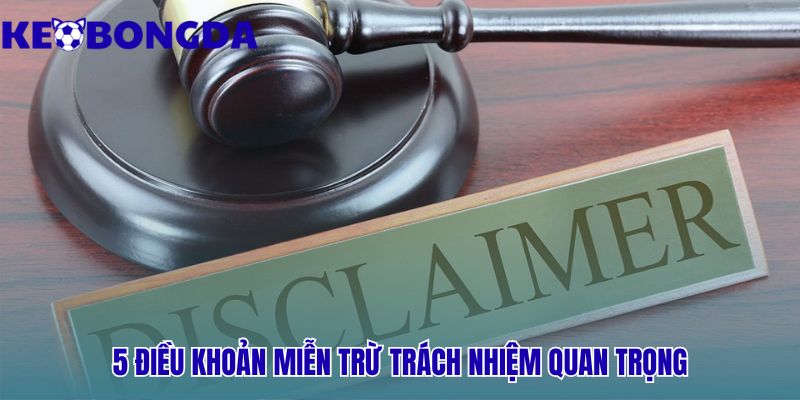 Miễn Trừ Trách Nhiệm 2 5 điều khoản miễn trừ trách nhiệm định hình quan hệ pháp lý