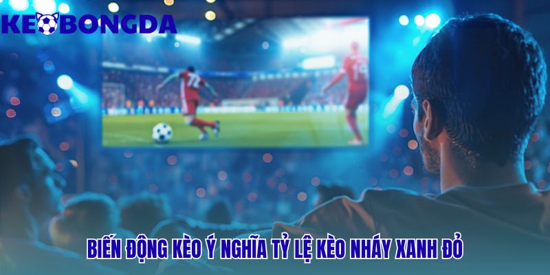 Cách đọc bảng kèo nhà cái và những ký hiệu cần biết khi kèo nháy