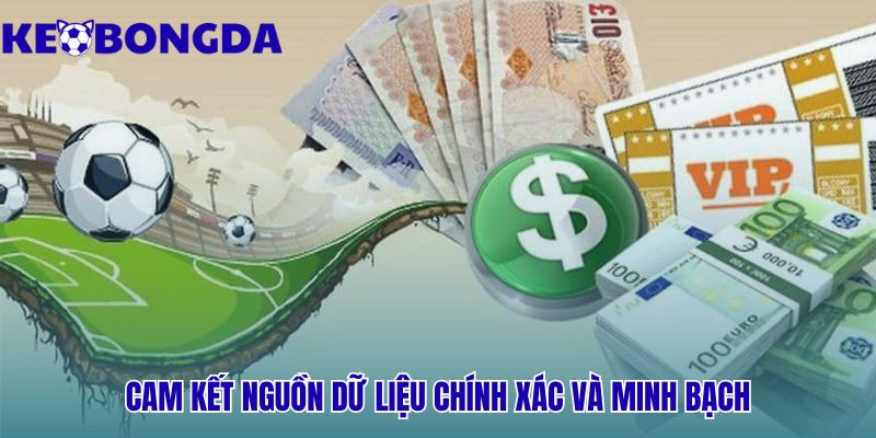 Kết Quả Bóng Đá 82 Nguồn dữ liệu kết quả bóng đá chính xác và hoàn toàn tự động