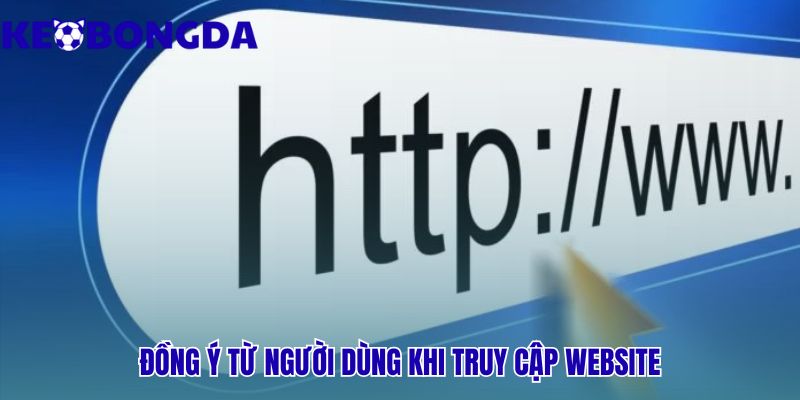 Miễn Trừ Trách Nhiệm 3 Truy cập website là chấp thuận vô điều kiện miễn trừ trách nhiệm