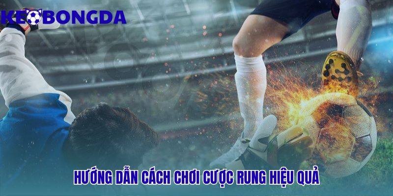 Kèo rung là gì? có nên tham gia kèo live không? cùng cách chơi hiệu quả