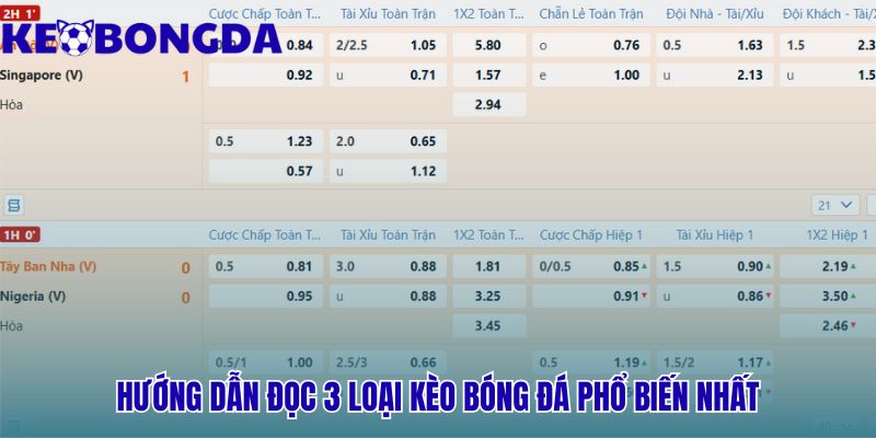 Giải mã ba loại cược kinh điển Kèo Châu Á Âu và Tài Xỉu