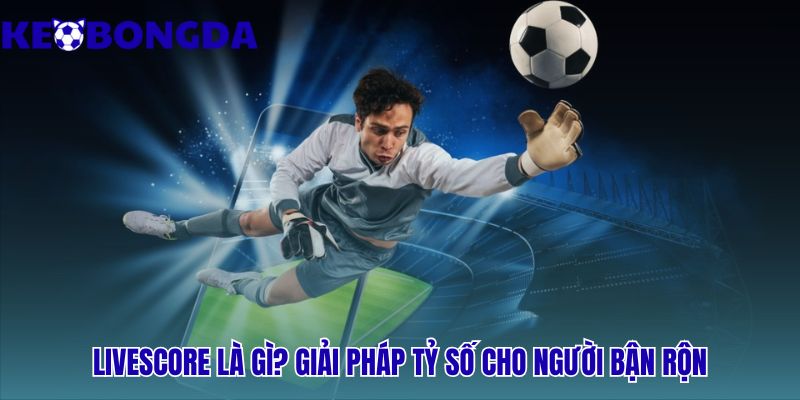 Livescore 36 Livescore giải pháp thông tin cho người hâm mộ bận rộn