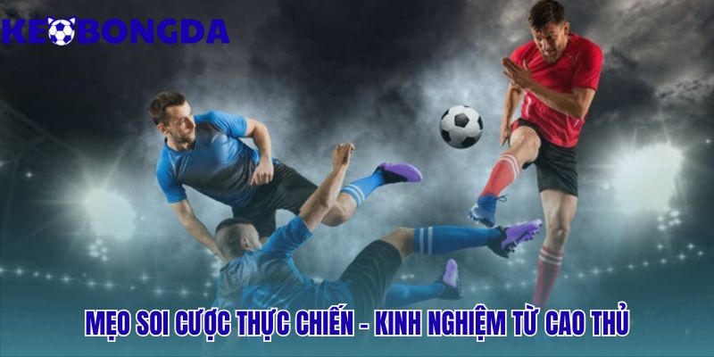 Hướng dẫn cách soi kèo bóng đá hiệu quả cho người mới bắt đầu