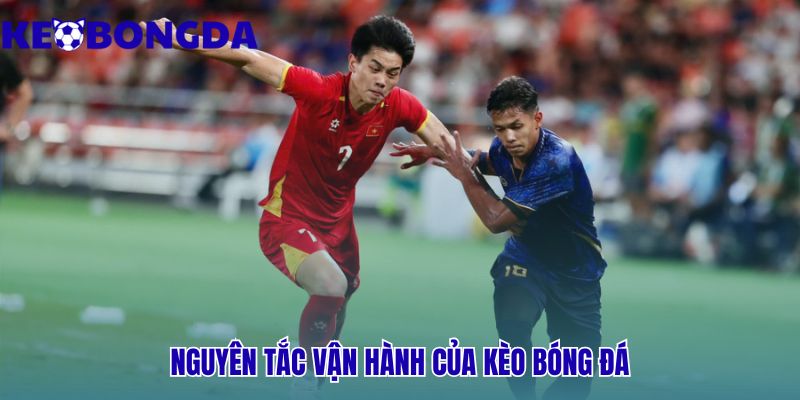 Giới Thiệu 3 Nguyên tắc vận hành dựa trên uy tín tốc độ và sự chuyên sâu