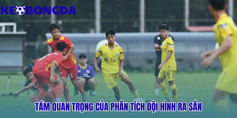 Phân tích đội hình ra sân là yếu tố quyết định kết quả trận đấu