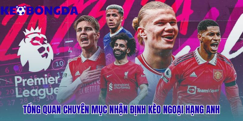 Ngoại Hạng Anh 29 Nhận định kèo Ngoại Hạng Anh cung cấp góc nhìn khoa học