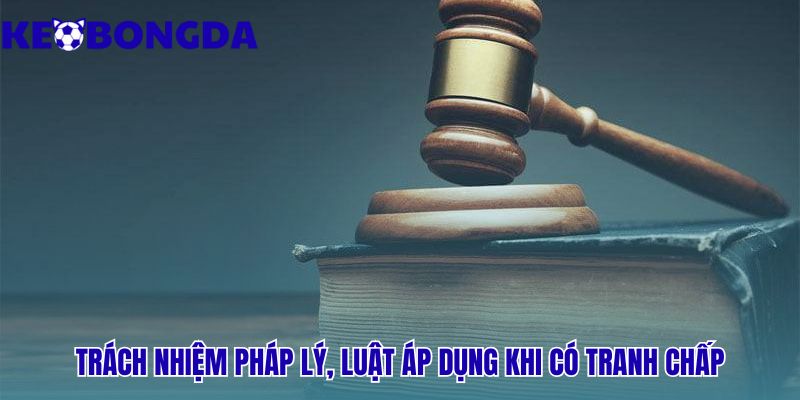 Điều Khoản Điều Kiện 3 Luật pháp Síp là cơ sở giải quyết mọi tranh chấp phát sinh