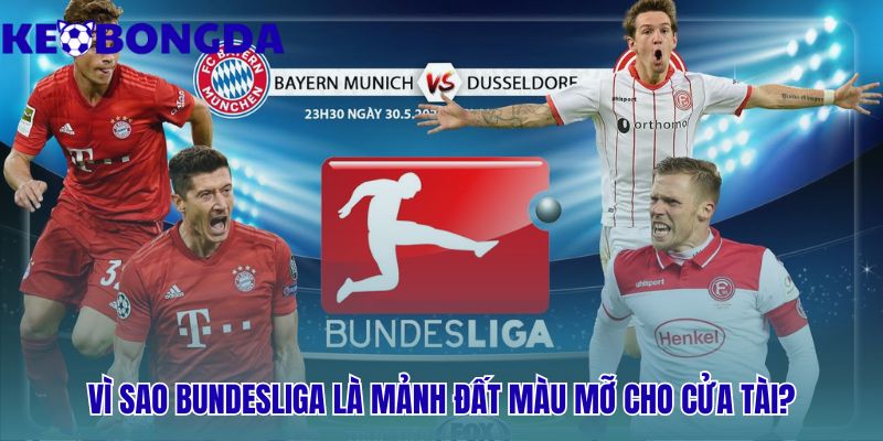 Bundesliga 30 Nhận định kèo Bundesliga dựa trên số bàn thắng trung bình cao